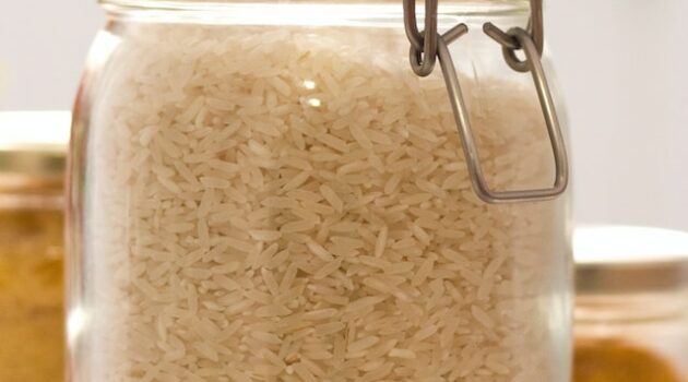 best blender for grinding rice